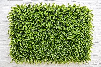 《糖豆人》联动《森林王子》 9月3日正式上线